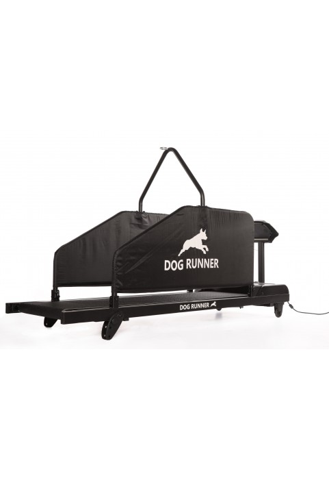 DOG RUNNER - Tracks