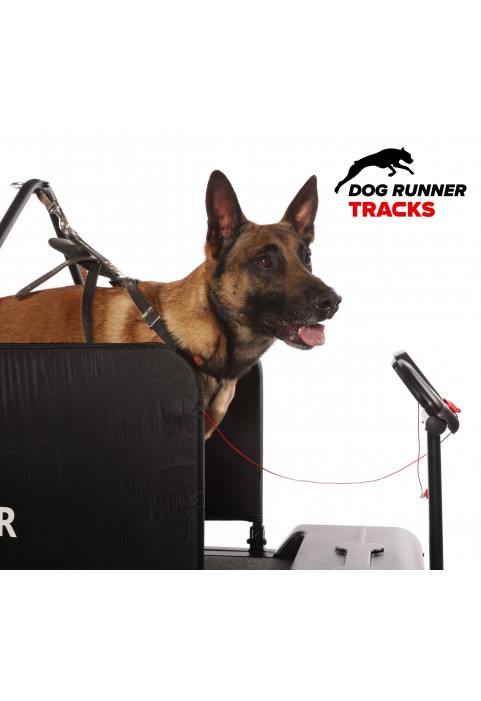 DOG RUNNER - Tracks