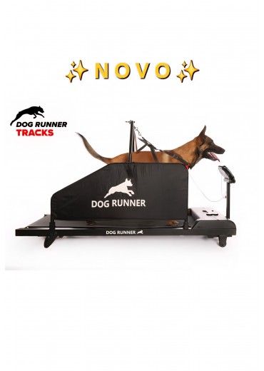 DOG RUNNER - Tracks