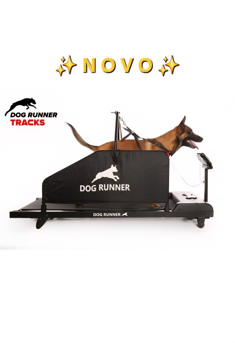 DOG RUNNER - Tracks