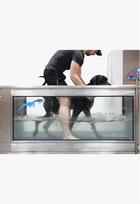 DOG RUNNER - Aqua Runner
